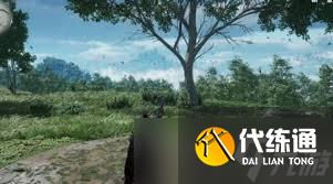 燕云十六聲：難因善果任務高效改進指南