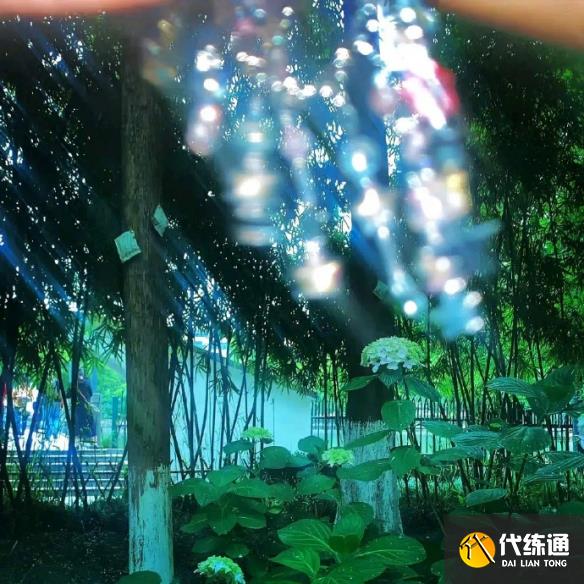 游俠網5