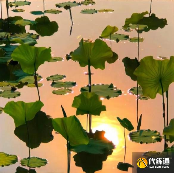 游俠網5