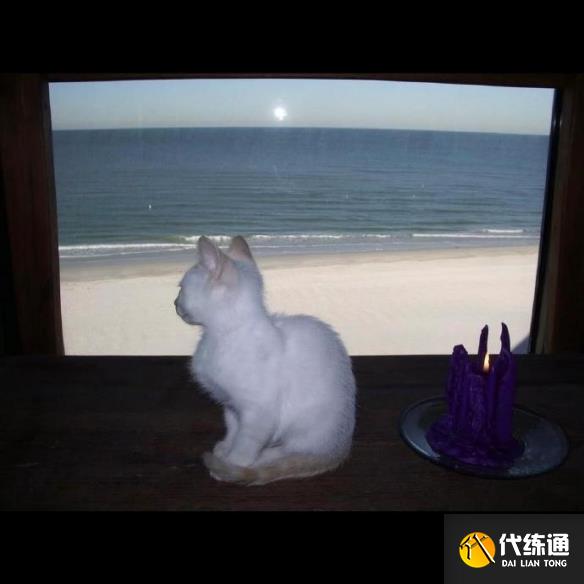 游俠網(wǎng)2