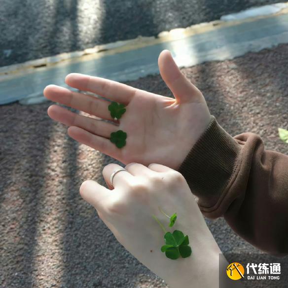游俠網3