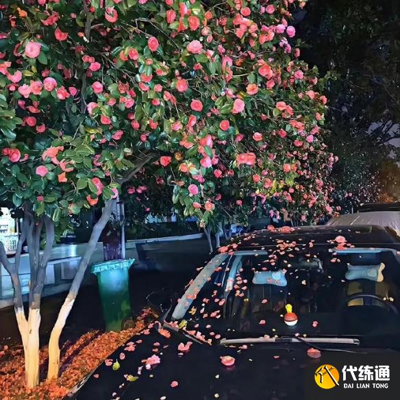游俠網5