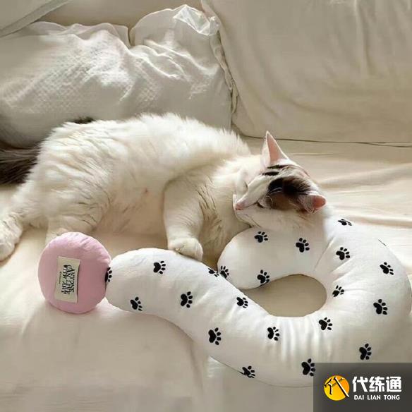 游俠網6