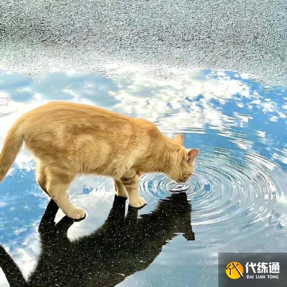 游俠網7