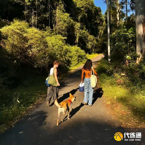 游俠網(wǎng)4