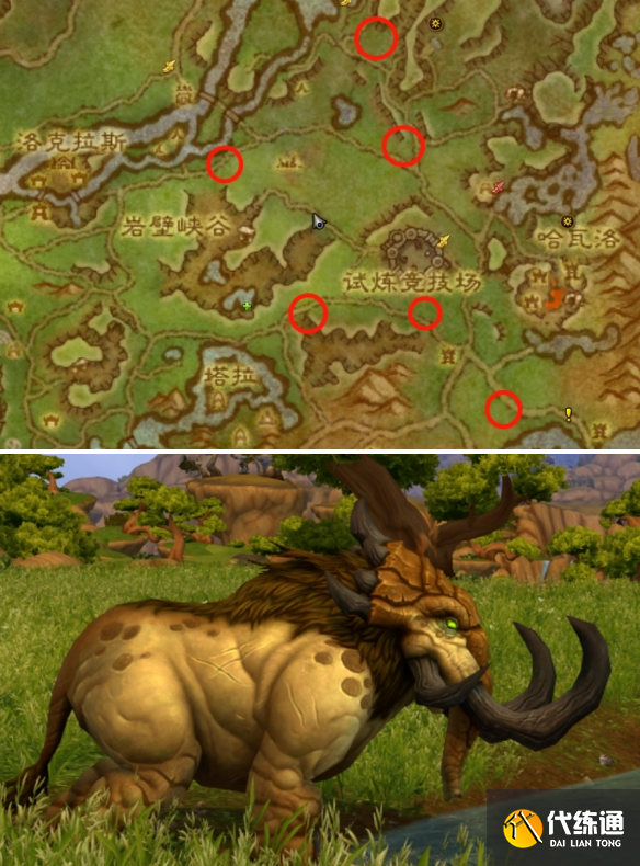 魔獸世界斑點草地踐踏者坐騎獲取方法2 魔獸世界斑點草地踐踏者坐騎獲取方法2