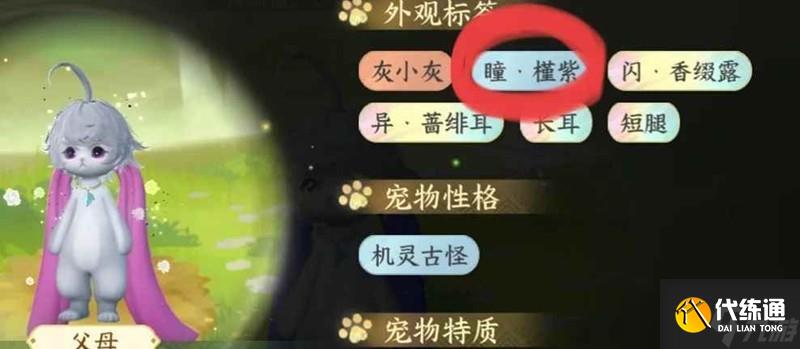 逆水寒繁育技巧邪修版攻略 寵物怎么繁育攻略