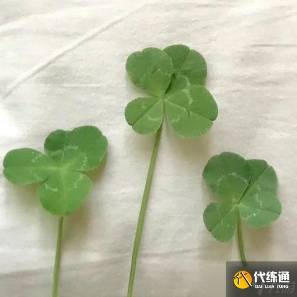 《英雄聯盟》高能量旺磁場的昵稱一覽