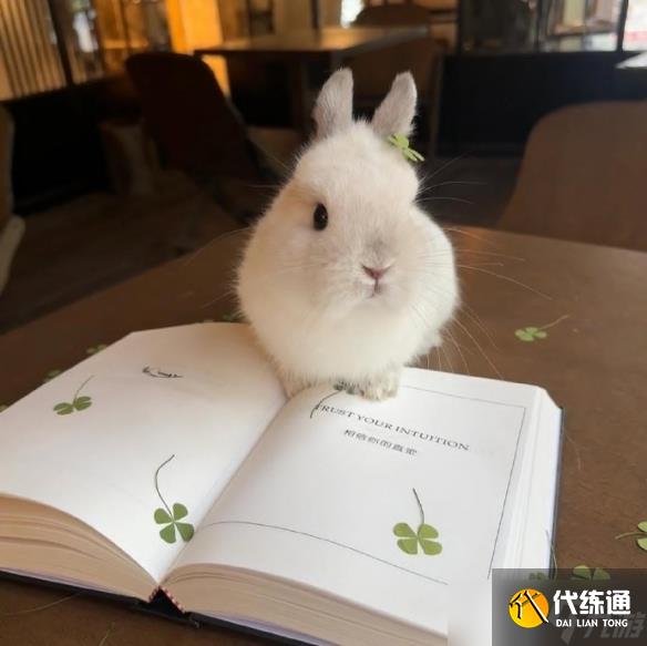 《英雄聯盟》高能量旺磁場的昵稱一覽
