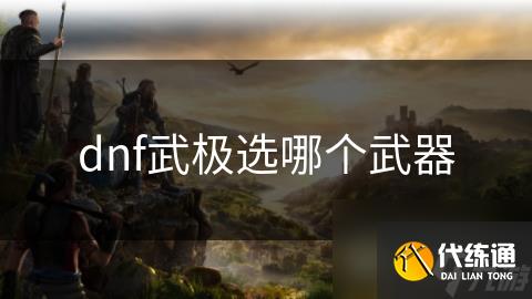 dnf武极选哪个武器