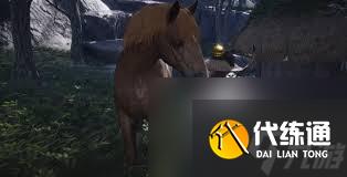 燕云十六聲化馬記奇遇怎么玩