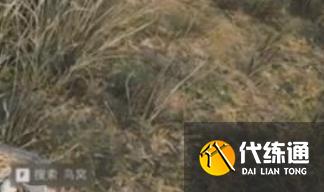 三角洲行动非洲之心高爆点位