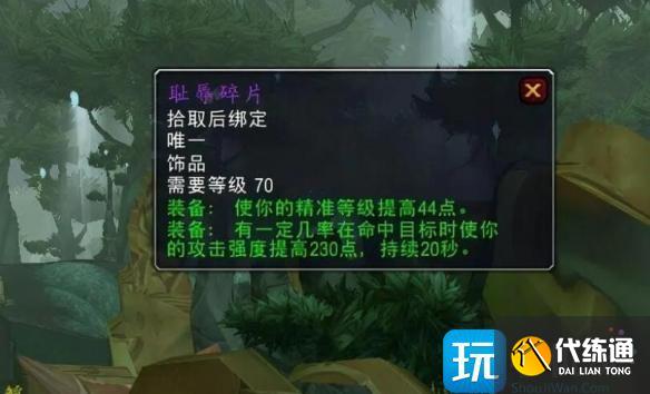 魔獸世界恥辱碎片獵人怎么使用