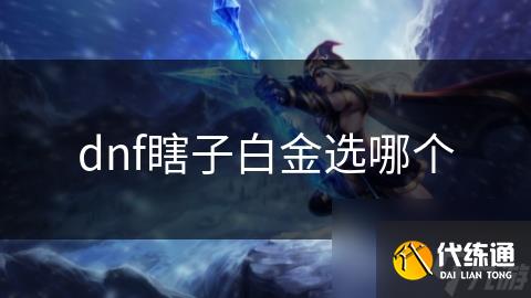 dnf瞎子白金选哪个
