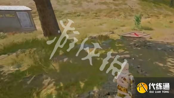 游侠网9