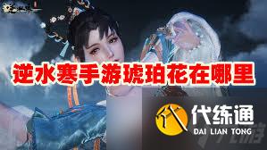 逆水寒手游琥珀氽的制作方法