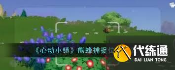 心動(dòng)小鎮(zhèn)熊蜂位置在哪