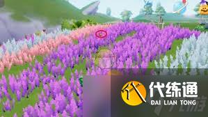 心動(dòng)小鎮(zhèn)熊蜂位置在哪