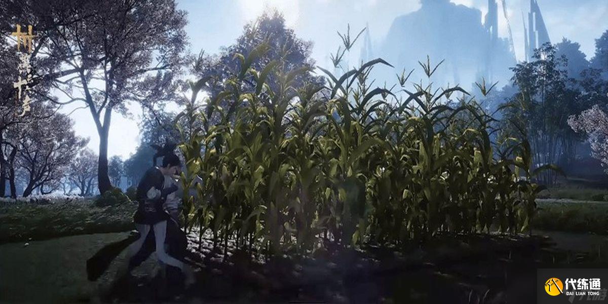 燕云十六聲怎么種植