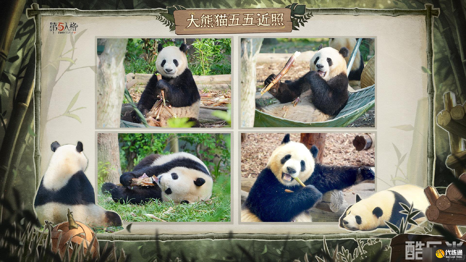 第五人格熊貓系列時裝外觀