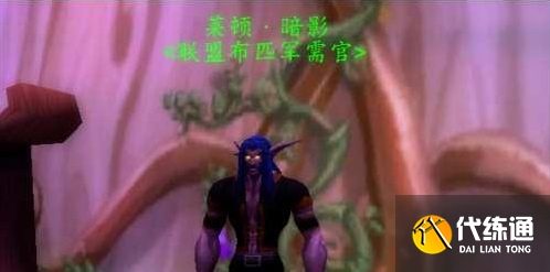 魔獸世界懷舊服暗夜精靈刷聲望攻略2