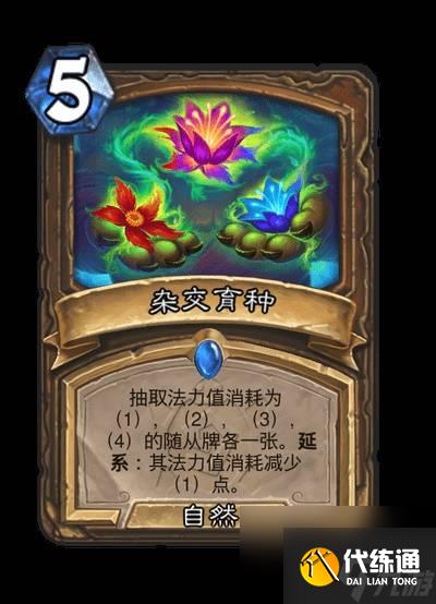 炉石传说安戈洛龟途全职业传说任务卡介绍