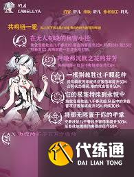 鳴潮椿隊(duì)伍怎么搭配武器選擇推薦