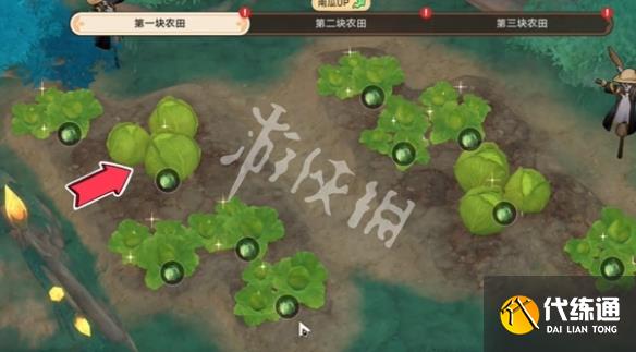 游俠網5