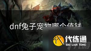 DNF兔子先生宠物外观怎么样