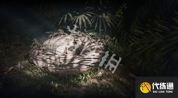 游俠網5