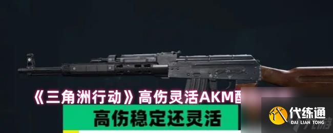 《三角洲行動(dòng)》高傷靈活A(yù)KM配裝指南