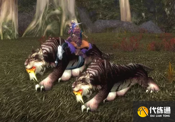 魔獸世界黑海岸獵人稀有寶寶位置分享3