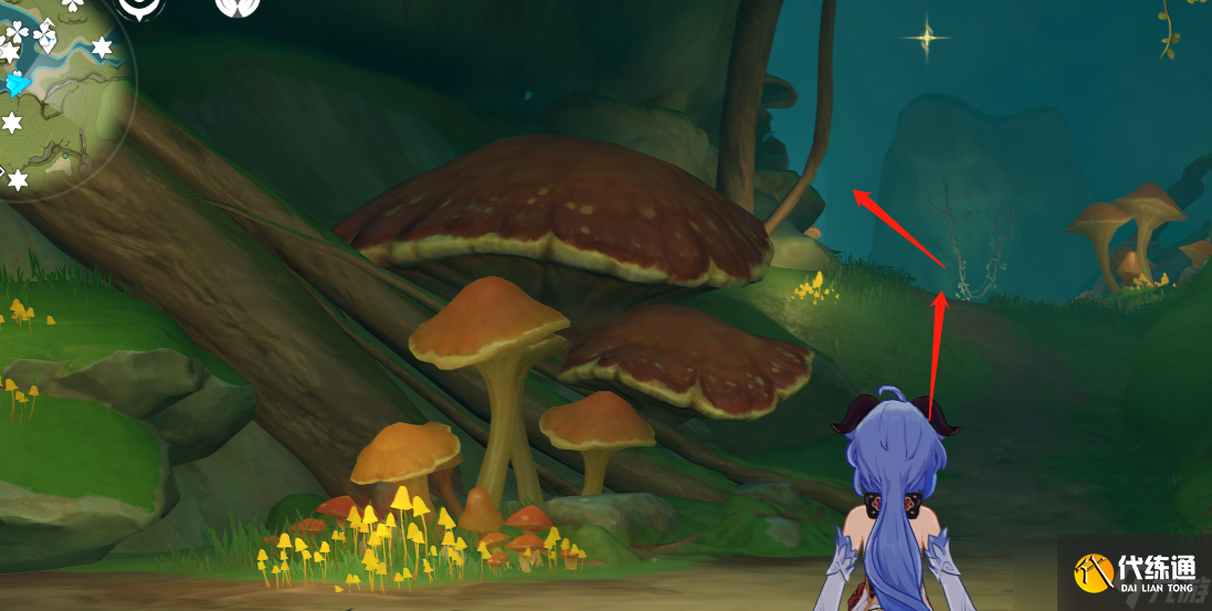 原神須彌寶箱全收集——【116-138篇】