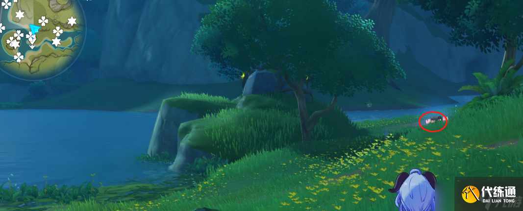 原神須彌寶箱全收集——【116-138篇】