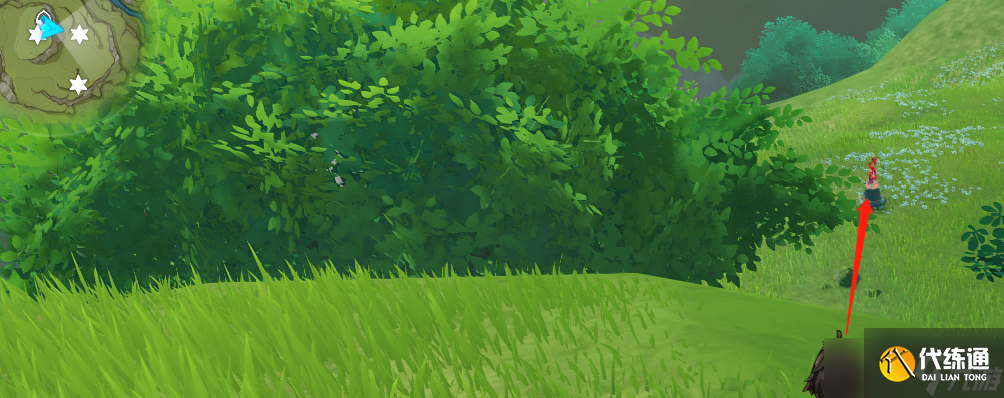 原神須彌寶箱全收集——【116-138篇】