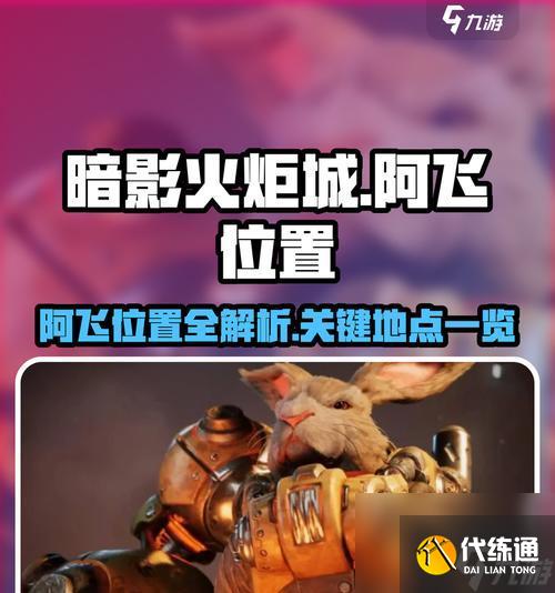 英雄联盟暗影火炬使用方法是什么？效果如何？