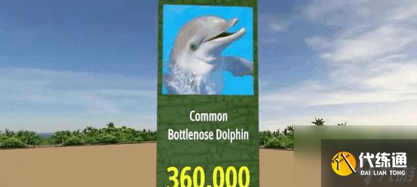 陰陽師小動物數(shù)量查詢方法是什么?如何查看小動物數(shù)量?