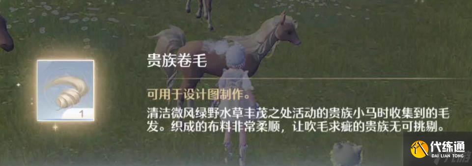 《无限暖暖》贵族卷毛作用