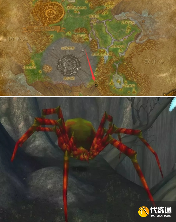魔獸世界泰羅卡森林蜘蛛寶寶位置介紹1