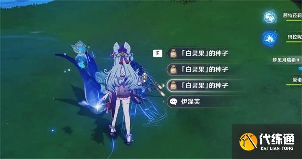 原神白靈蛋卷食譜怎么獲得