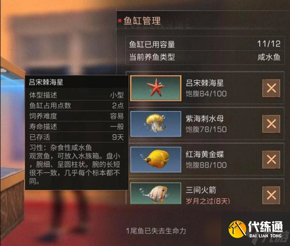 明日之后稀有魚怎么獲得