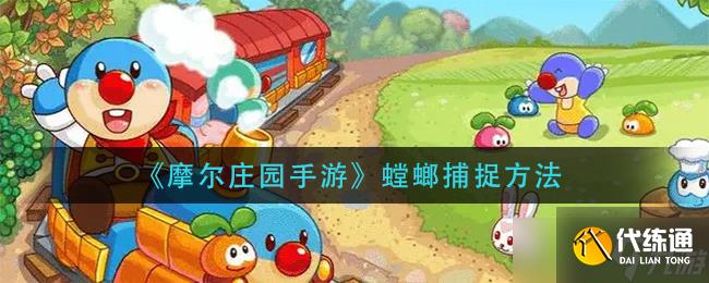 摩尔庄园手游：捕捉螳螂技巧揭秘