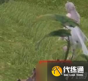 《无限暖暖》瓜子珠精粹