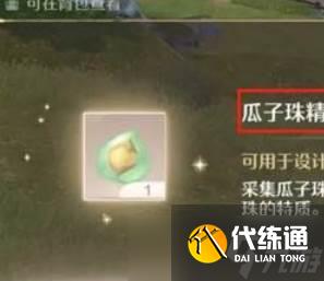 《无限暖暖》瓜子珠精粹