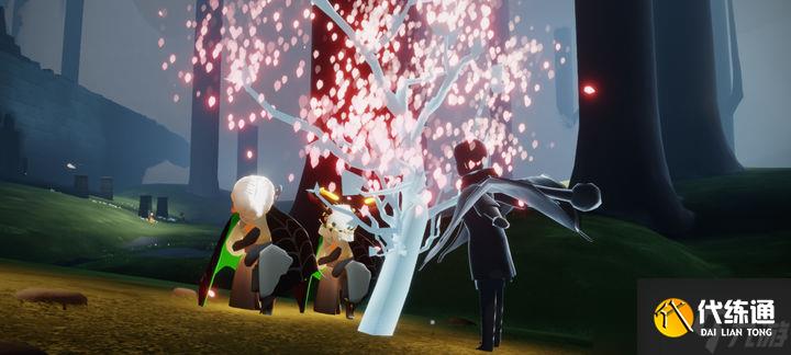 光遇云野哪里赏花