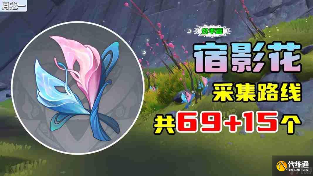 原神月之一版本宿影花采集路線