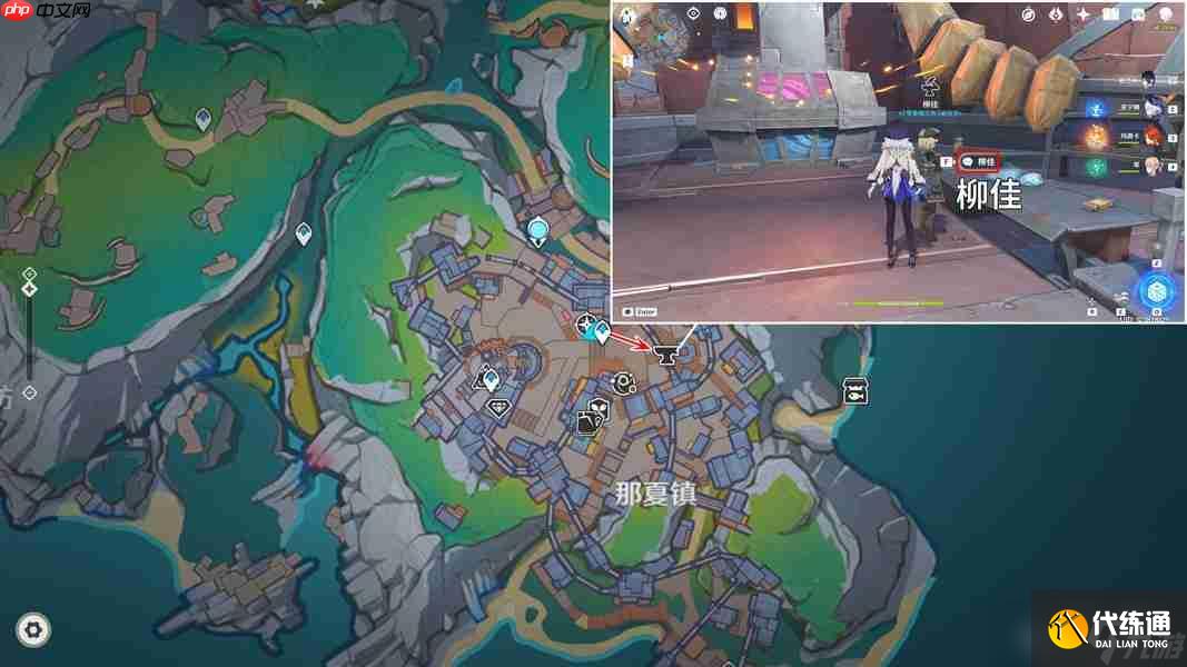 原神月之一版本宿影花采集路線