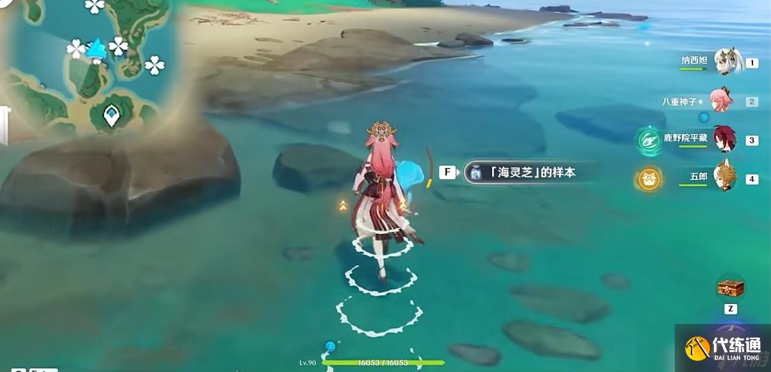 原神海靈芝位置在哪