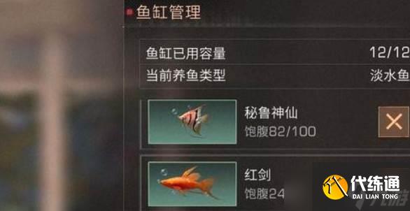 明日之后稀有鱼获取