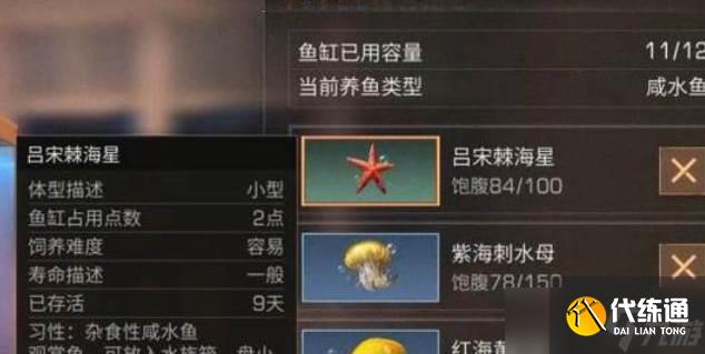 明日之后稀有鱼获取